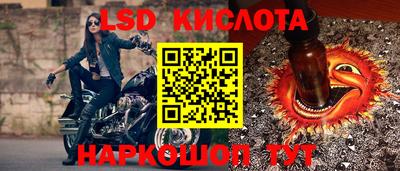 прущие грибы Заволжье