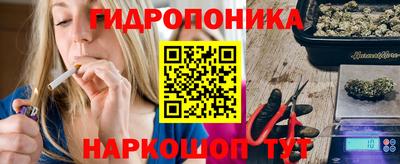 индика Ипатово