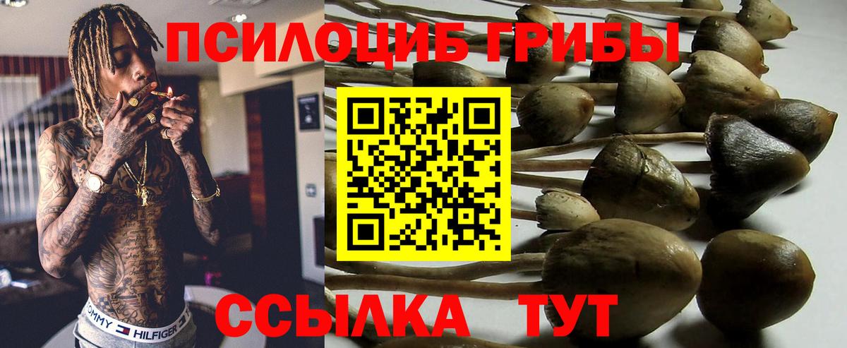 Псилоцибиновые грибы GOLDEN TEACHER Евпатория