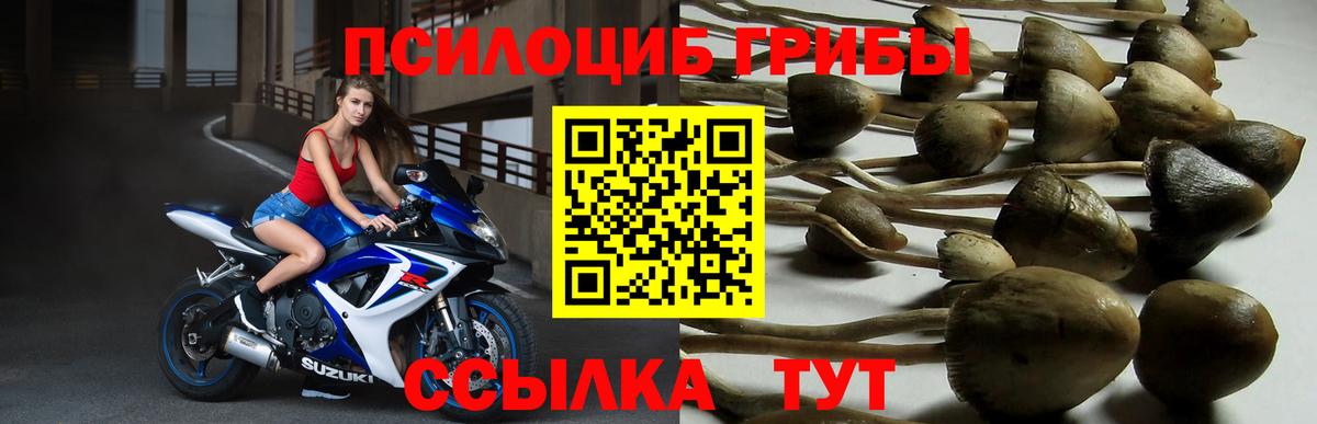 Псилоцибиновые грибы мухоморы  Вход с VPN  Евпатория 