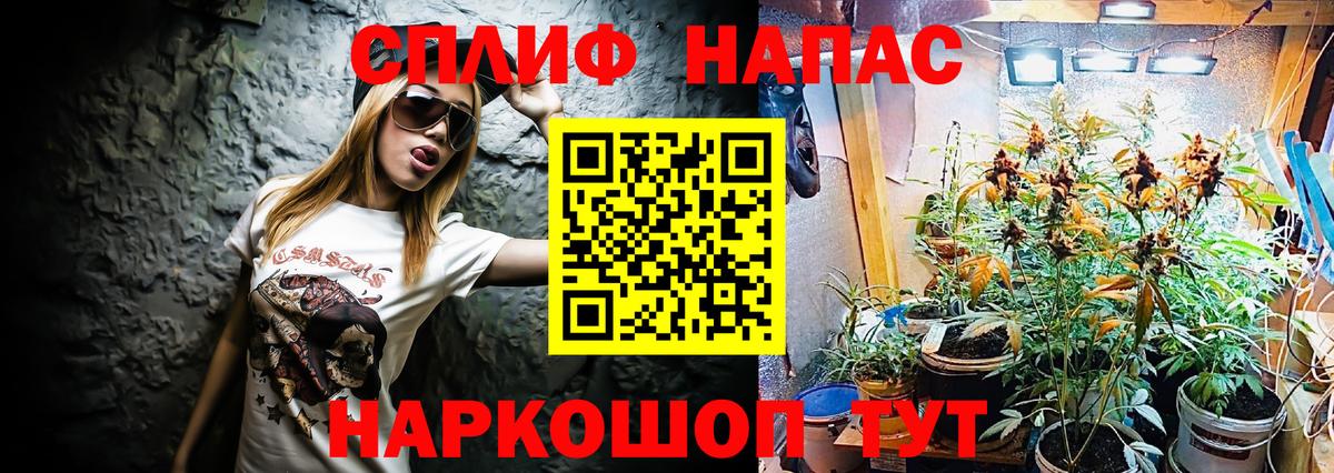 Конопля семена  Канабис LSD WEED  Евпатория  Марихуана сатива  Бошки марихуана гибрид  Вход с VPN 